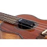 On-Stage Ukulele Humidifier (GA250) | MaxStrata®